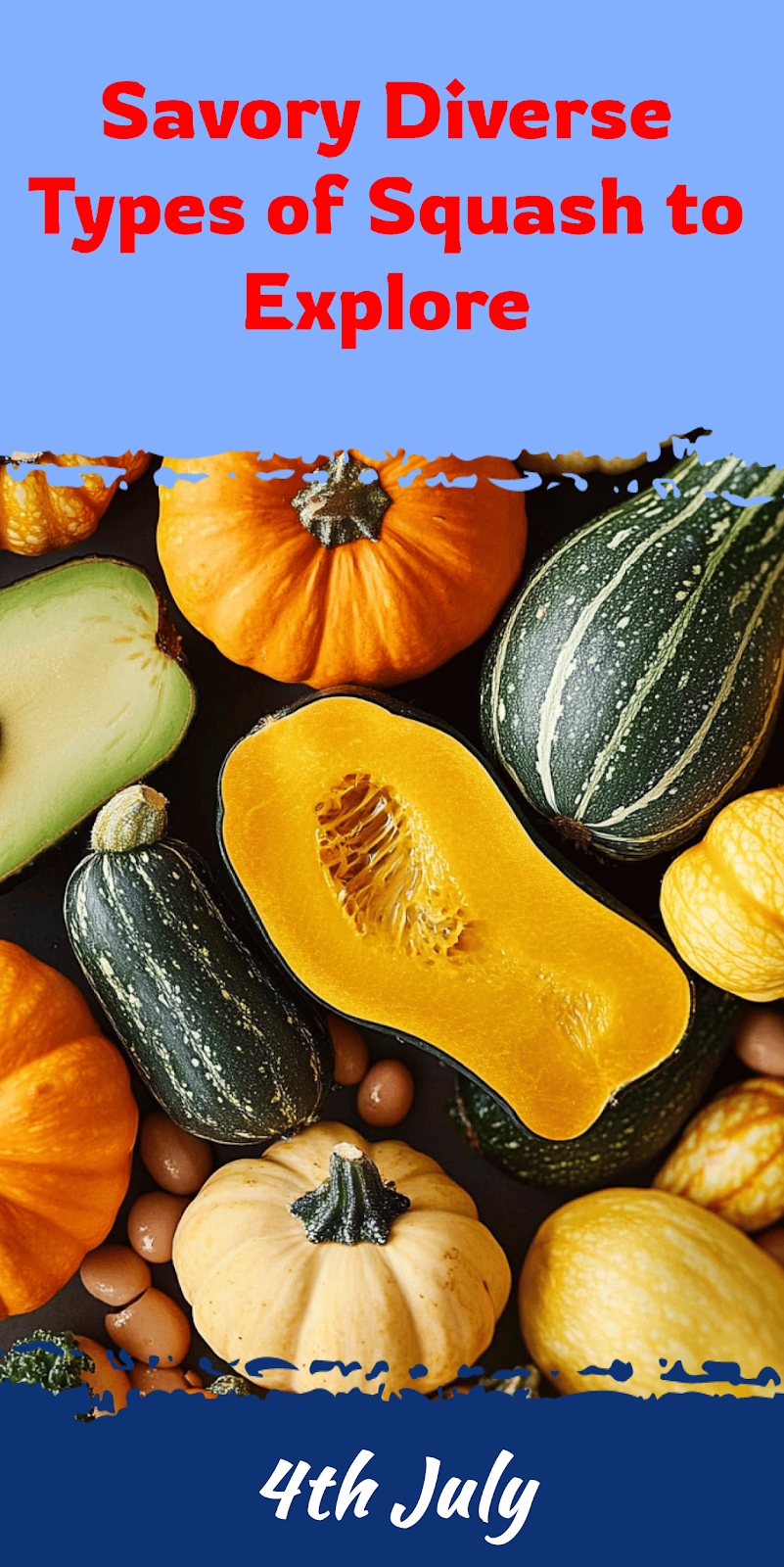 Diverse Types of Squash to Explore